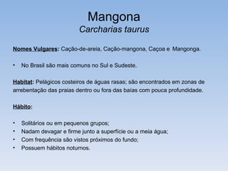 Mangona
                         Carcharias taurus

Nomes Vulgares: Cação-de-areia, Cação-mangona, Caçoa e Mangonga.

•   No Brasil são mais comuns no Sul e Sudeste.

Habitat: Pelágicos costeiros de águas rasas; são encontrados em zonas de
arrebentação das praias dentro ou fora das baías com pouca profundidade.

Hábito:

•   Solitários ou em pequenos grupos;
•   Nadam devagar e firme junto a superfície ou a meia água;
•   Com frequência são vistos próximos do fundo;
•   Possuem hábitos noturnos.
 