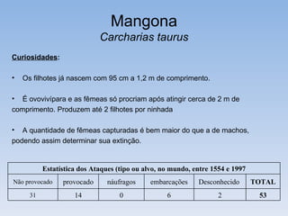Mangona
                             Carcharias taurus
Curiosidades:

•   Os filhotes já nascem com 95 cm a 1,2 m de comprimento.

• É ovovivípara e as fêmeas só procriam após atingir cerca de 2 m de
comprimento. Produzem até 2 filhotes por ninhada

• A quantidade de fêmeas capturadas é bem maior do que a de machos,
podendo assim determinar sua extinção.


           Estatística dos Ataques (tipo ou alvo, no mundo, entre 1554 e 1997
Não provocado    provocado      náufragos     embarcações    Desconhecido       TOTAL
      31             14             0              6                2            53
 