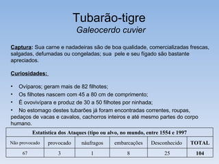 Tubarão-tigre
                            Galeocerdo cuvier
Captura: Sua carne e nadadeiras são de boa qualidade, comercializadas frescas,
salgadas, defumadas ou congeladas; sua pele e seu fígado são bastante
apreciados.

Curiosidades:

• Ovíparos; geram mais de 82 filhotes;
• Os filhotes nascem com 45 a 80 cm de comprimento;
• É ovovivípara e produz de 30 a 50 filhotes por ninhada;
• No estomago destes tubarões já foram encontradas correntes, roupas,
pedaços de vacas e cavalos, cachorros inteiros e até mesmo partes do corpo
humano.
          Estatística dos Ataques (tipo ou alvo, no mundo, entre 1554 e 1997
Não provocado   provocado      náufragos     embarcações    Desconhecido       TOTAL
     67              3             1              8               25            104
 