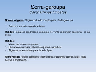 Serra-garoupa
                       Carcharhinus limbatus

Nomes vulgares: Cação-do-fundo, Cação-peru, Corta-garoupa.

•   Ocorrem por toda costa brasileira.

Habitat: Pelágicos oceânicos e costeiros, no verão costumam aproximar- se da
costa.

Hábitos:
• Vivem em pequenos grupos;
• São ativos e nadam velozmente junto a superfície;
• Algumas vezes saltam para fora da água.

Alimentação: Peixes pelágicos e bentônicos, pequenos cações, raias, lulas,
polvos e crustáceos.
 