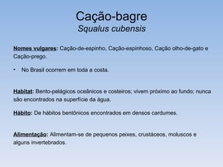 Cação-bagre
                         Squalus cubensis

Nomes vulgares: Cação-de-espinho, Cação-espinhoso, Cação olho-de-gato e
Cação-prego.

•   No Brasil ocorrem em toda a costa.


Habitat: Bento-pelágicos oceânicos e costeiros; vivem próximo ao fundo; nunca
são encontrados na superfície da água.

Hábito: De hábitos bentônicos encontrados em densos cardumes.


Alimentação: Alimentam-se de pequenos peixes, crustáceos, moluscos e
alguns invertebrados.
 