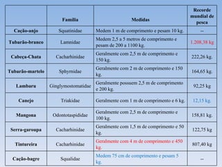 Recorde
                                                                                   mundial de
                       Família                         Medidas
                                                                                     pesca
  Cação-anjo         Squatinidae       Medem 1 m de comprimento e pesam 10 kg.         --
                                       Medem 2,5 a 5 metros de comprimento e
Tubarão-branco        Lamnidae                                                     1.208,38 kg
                                       pesam de 200 a 1100 kg.
                                       Geralmente com 2,5 m de comprimento e
 Cabeça-Chata       Cacharhinidae                                                  222,26 kg.
                                       150 kg.
                                       Geralmente com 2 m de comprimento e 150
Tubarão-martelo       Sphyrnidae                                                   164,65 kg.
                                       kg.
                                       Geralmente possuem 2,5 m de comprimento
   Lambaru        Ginglymostomatidae                                                92,25 kg
                                       e 200 kg.

    Canejo            Triakidae        Geralmente com 1 m de comprimento e 6 kg.    12,15 kg.

                                       Geralmente com 2,5 m de comprimento e
   Mangona         Odontotaspididae                                                158,81 kg.
                                       100 kg.
                                       Geralmente com 1,5 m de comprimento e 50
 Serra-garoupa      Cacharhinidae                                                  122,75 kg
                                       kg.
                                       Geralmente com 4 m de comprimento e 450
  Tintureira        Cacharhinidae                                                  807,40 kg
                                       kg.
                                       Medem 75 cm de comprimento e pesam 5
 Cação-bagre          Squalidae                                                        --
                                       kg.
 
