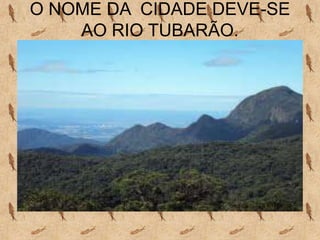 O NOME DA CIDADE DEVE-SE
    AO RIO TUBARÃO.
 