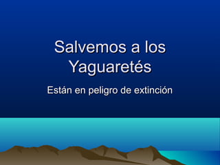 Salvemos a losSalvemos a los
YaguaretésYaguaretés
Están en peligro de extinciónEstán en peligro de extinción
 