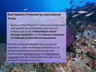 Reef Systems Protected by International
Treaty

• Several of the Philippines' critical and unique coral
  reef systems are protected by international
  treaties such as the United Nations World
  Heritage Convention and the Ramsar Convention
  on Wetlands of International Importance.

(The Convention on Wetlands of International
Importance, called the Ramsar Convention, is an
intergovernmental treaty that provides the
framework for national action and international
cooperation for the conservation and wise use of
wetlands and their resources.)
 