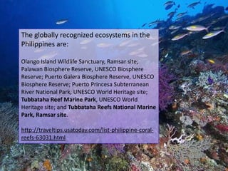 The globally recognized ecosystems in the
Philippines are:

Olango Island Wildlife Sanctuary, Ramsar site;
Palawan Biosphere Reserve, UNESCO Biosphere
Reserve; Puerto Galera Biosphere Reserve, UNESCO
Biosphere Reserve; Puerto Princesa Subterranean
River National Park, UNESCO World Heritage site;
Tubbataha Reef Marine Park, UNESCO World
Heritage site; and Tubbataha Reefs National Marine
Park, Ramsar site.

http://traveltips.usatoday.com/list-philippine-coral-
reefs-63031.html
 