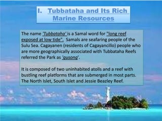 I. Tubbataha and Its Rich
            Marine Resources

The name 'Tubbataha' is a Samal word for "long reef
exposed at low tide". Samals are seafaring people of the
Sulu Sea. Cagayanen (residents of Cagayancillo) people who
are more geographically associated with Tubbataha Reefs
referred the Park as 'gusong'.

It is composed of two uninhabited atolls and a reef with
bustling reef platforms that are submerged in most parts.
The North Islet, South Islet and Jessie Beazley Reef.
 