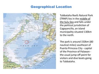 Geographical Location

              Tubbataha Reefs Natural Park
              (TRNP) lies in the middle of
              the Sulu Sea and falls under
              the political jurisdiction of
              Cagayancillo, an island
              municipality situated 130km
              to the north.

              The park is around 150km (80
              nautical miles) southeast of
              Puerto Princesa City - capital
              of the Province of Palawan -
              the usual jump-off point for
              visitors and dive boats going
              to Tubbataha.
 