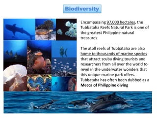 Biodiversity

     Encompassing 97,000 hectares, the
     Tubbataha Reefs Natural Park is one of
     the greatest Philippine natural
     treasures.

     The atoll reefs of Tubbataha are also
     home to thousands of marine species
     that attract scuba diving tourists and
     researchers from all over the world to
     revel in the underwater wonders that
     this unique marine park offers.
     Tubbataha has often been dubbed as a
     Mecca of Philippine diving
 