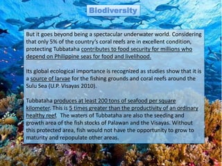 Biodiversity


But it goes beyond being a spectacular underwater world. Considering
that only 5% of the country’s coral reefs are in excellent condition,
protecting Tubbataha contributes to food security for millions who
depend on Philippine seas for food and livelihood.

Its global ecological importance is recognized as studies show that it is
a source of larvae for the fishing grounds and coral reefs around the
Sulu Sea (U.P. Visayas 2010).

Tubbataha produces at least 200 tons of seafood per square
kilometer. This is 5 times greater than the productivity of an ordinary
healthy reef. The waters of Tubbataha are also the seeding and
growth area of the fish stocks of Palawan and the Visayas. Without
this protected area, fish would not have the opportunity to grow to
maturity and repopulate other areas.
 