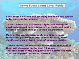 Some Facts about Coral Reefs:



Coral reefs have endured for many millennia and appear
to be hardy at first glance.

In fact, corals are extremely fragile, are among the
most endangered ecosystems in the world, and easily
affected by slight changes in their environment.

Many of the world’s coral reefs are experiencing
threats not just from natural events but also, more
significantly, as a direct result of human activities.

 Unless drastic measures are taken, more than half of
them will disappear in the next 15 years.
The coral reefs of the Philippines are a prime example
of an endangered marine ecosystem.
 