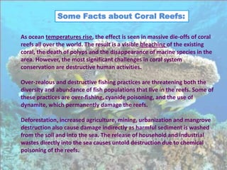 Some Facts about Coral Reefs:

As ocean temperatures rise, the effect is seen in massive die-offs of coral
reefs all over the world. The result is a visible bleaching of the existing
coral, the death of polyps and the disappearance of marine species in the
area. However, the most significant challenges in coral system
conservation are destructive human activities.

Over-zealous and destructive fishing practices are threatening both the
diversity and abundance of fish populations that live in the reefs. Some of
these practices are over-fishing, cyanide poisoning, and the use of
dynamite, which permanently damage the reefs.

Deforestation, increased agriculture, mining, urbanization and mangrove
destruction also cause damage indirectly as harmful sediment is washed
from the soil and into the sea. The release of household and industrial
wastes directly into the sea causes untold destruction due to chemical
poisoning of the reefs.
 