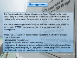 Management


The Tubbataha Protected Area Management Board (TPAMB) is the multi-
sector body that formulates policies for Tubbataha. Established in 1999, it is
made up of a wide range of stakeholders from the public and private sector.

The Tubbataha Management Office (TMO) - based in Puerto Princesa City -
serves as its TPAMB's executive arm, carrying out day-to-day park
management.

These Two Management Bodies Protect Tubbataha in a Number of Ways
· Law enforcement
· Conservation management
· Regular ecosystem research and monitoring
· Information & education programs on local, national and international levels
· Supporting the municipality of Cagayancillo - which has political jurisdiction
over Tubbataha - in their coastal resource management
 