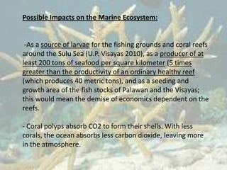 Possible Impacts on the Marine Ecosystem:


 -As a source of larvae for the fishing grounds and coral reefs
around the Sulu Sea (U.P. Visayas 2010), as a producer of at
least 200 tons of seafood per square kilometer (5 times
greater than the productivity of an ordinary healthy reef
(which produces 40 metric tons), and as a seeding and
growth area of the fish stocks of Palawan and the Visayas;
this would mean the demise of economics dependent on the
reefs.

- Coral polyps absorb CO2 to form their shells. With less
corals, the ocean absorbs less carbon dioxide, leaving more
in the atmosphere.
 