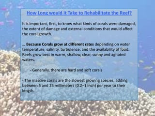 How Long would it Take to Rehabilitate the Reef?

It is important, first, to know what kinds of corals were damaged,
the extent of damage and external conditions that would affect
the coral growth.

… Because Corals grow at different rates depending on water
temperature, salinity, turbulence, and the availability of food.
Reefs grow best in warm, shallow, clear, sunny and agitated
waters.

    - Generally, there are hard and soft corals

- The massive corals are the slowest growing species, adding
between 5 and 25 millimeters (0.2–1 inch) per year to their
length.
 