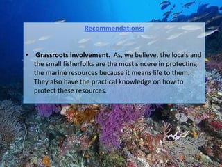 Recommendations:


• Grassroots involvement. As, we believe, the locals and
  the small fisherfolks are the most sincere in protecting
  the marine resources because it means life to them.
  They also have the practical knowledge on how to
  protect these resources.
 