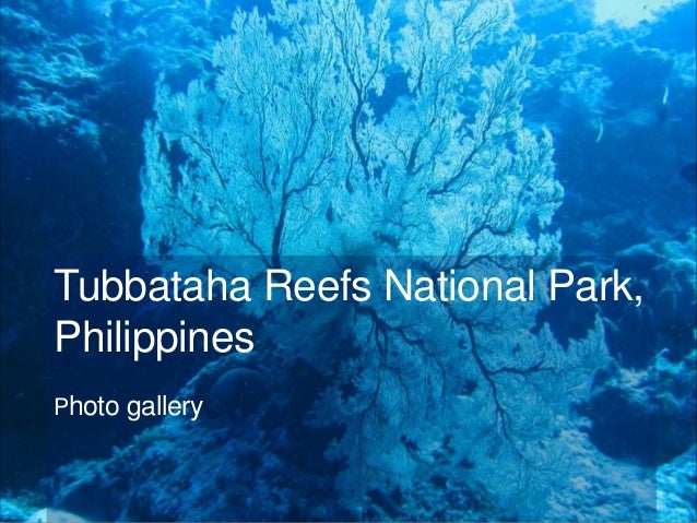 Imageresult for tubbataha reef philippines