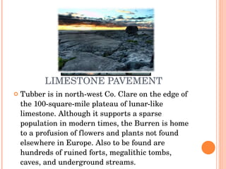 LIMESTONE PAVEMENT Tubber is in north-west Co. Clare on the edge of the 100-square-mile plateau of lunar-like limestone. Although it supports a sparse population in modern times, the Burren is home to a profusion of flowers and plants not found elsewhere in Europe. Also to be found are hundreds of ruined forts, megalithic tombs, caves, and underground streams. 