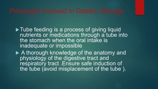 Tube feeding ( Gavage feeding ) | PPTX - Feeding A Snake With A Gavage Tube Techniques