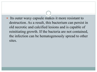  Its outer waxy capsule makes it more resistant to
destruction. As a result, this bacterium can persist in
old necrotic and calcified lesions and is capable of
reinitiating growth. If the bacteria are not contained,
the infection can be hematogenously spread to other
sites.
 
