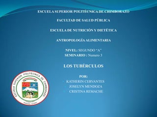 ESCUELA SUPERIOR POLITÉCNICA DE CHIMBORAZO
FACULTAD DE SALUD PÚBLICA
ESCUELA DE NUTRICIÓN Y DIETÉTICA
ANTROPOLOGÍA ALIMENTARIA
NIVEL: SEGUNDO “A”
SEMINARIO : Numero 3

LOS TUBÉRCULOS
POR:
• KATHERIN CERVANTES
• JOSELYN MENDOZA
• CRISTINA REMACHE

 