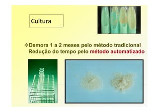 Cultura


Demora 1 a 2 meses pelo método tradicional
Redução do tempo pelo método automatizado
 