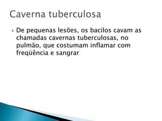  De pequenas lesões, os bacilos cavam as
chamadas cavernas tuberculosas, no
pulmão, que costumam inflamar com
freqüência e sangrar
 