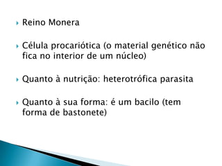  Reino Monera
 Célula procariótica (o material genético não
fica no interior de um núcleo)
 Quanto à nutrição: heterotrófica parasita
 Quanto à sua forma: é um bacilo (tem
forma de bastonete)
 