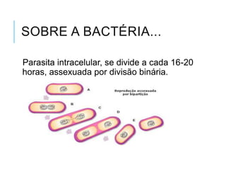 SOBRE A BACTÉRIA...
Parasita intracelular, se divide a cada 16-20
horas, assexuada por divisão binária.

 