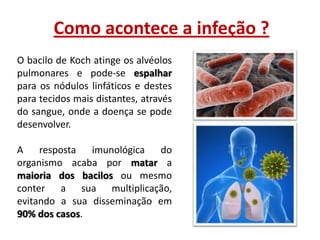 Como acontece a infeção ?
O bacilo de Koch atinge os alvéolos
pulmonares e pode-se espalhar
para os nódulos linfáticos e destes
para tecidos mais distantes, através
do sangue, onde a doença se pode
desenvolver.
A resposta imunológica do
organismo acaba por matar a
maioria dos bacilos ou mesmo
conter a sua multiplicação,
evitando a sua disseminação em
90% dos casos.

 