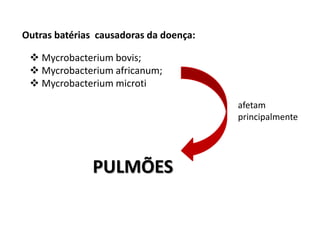 Outras batérias causadoras da doença:
 Mycrobacterium bovis;
 Mycrobacterium africanum;
 Mycrobacterium microti
afetam
principalmente

PULMÕES

 