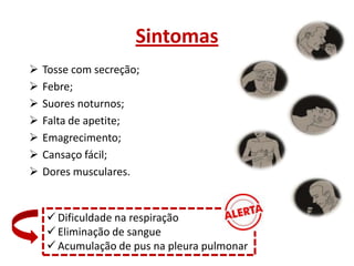Sintomas








Tosse com secreção;
Febre;
Suores noturnos;
Falta de apetite;
Emagrecimento;
Cansaço fácil;
Dores musculares.

 Dificuldade na respiração
 Eliminação de sangue
 Acumulação de pus na pleura pulmonar

 