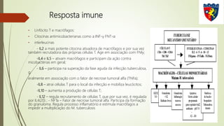 Resposta imune
• Linfócito T e macrófagos:
• Citocinas antimicobacterianas como a INF-γ FNT-α
• interleucinas
- IL2 a mais potente citocina ativadora de macrófagos e por sua vez
também recrutadora das próprias células T. Age em associação com FNIy;
-IL4 e IL5 – ativam macrófagos e participam da ação contra
micobactérias em geral;
- IL6 – participa na superação da fase aguda da infecção tuberculosa,
g
eralmente em associação com o fator de necrose tumoral alfa (TNFa);
-IL8 – atrai células T para o local da infecção e mobiliza leucócitos;
-IL10 – aumenta a produção de células T;
- IL12 – regula recrutamento de células T, que por sua vez, é regulada
por IL4(20) ; - NFTa – Fator de necrose tumoral alfa. Participa da formação
do granuloma. Regula processo inflamatório e estimula macrófagos a
impedir a multiplicação do M. tuberculosis
 
