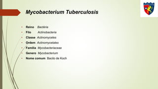 Mycobacterium Tuberculosis
• Reino Bactéria
• Filo Actinobacteria
• Classe Actinomycetes
• Ordem Actinomycetales
• Familia Mycobacteriaceae
• Genero Mycobacterium
• Nome comum Bacilo de Koch
 