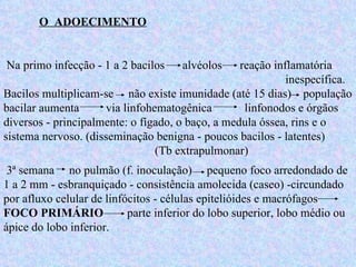 O  ADOECIMENTO Na primo infecção - 1 a 2 bacilos  alvéolos  reação inflamatória    inespecífica.  Bacilos multiplicam-se  não existe imunidade (até 15 dias)  população bacilar aumenta  via linfohematogênica  linfonodos e órgãos diversos - principalmente: o fígado, o baço, a medula óssea, rins e o sistema nervoso. (disseminação benigna - poucos bacilos - latentes)    (Tb extrapulmonar) 3ª semana  no pulmão (f. inoculação)  pequeno foco arredondado de 1 a 2 mm - esbranquiçado - consistência amolecida (caseo) -circundado por afluxo celular de linfócitos - células epitelióides e macrófagos  FOCO PRIMÁRIO   parte inferior do lobo superior, lobo médio ou ápice do lobo inferior. 