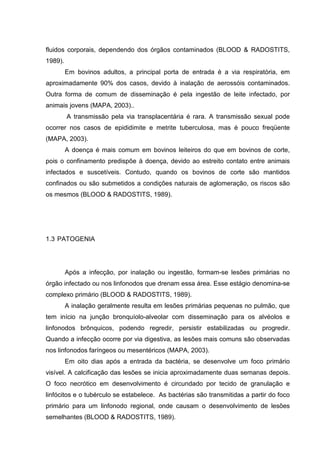 fluidos corporais, dependendo dos órgãos contaminados (BLOOD & RADOSTITS,
1989).
Em bovinos adultos, a principal porta de entrada é a via respiratória, em
aproximadamente 90% dos casos, devido à inalação de aerossóis contaminados.
Outra forma de comum de disseminação é pela ingestão de leite infectado, por
animais jovens (MAPA, 2003)..
A transmissão pela via transplacentária é rara. A transmissão sexual pode
ocorrer nos casos de epididimite e metrite tuberculosa, mas é pouco freqüente
(MAPA, 2003).
A doença é mais comum em bovinos leiteiros do que em bovinos de corte,
pois o confinamento predispõe à doença, devido ao estreito contato entre animais
infectados e suscetíveis. Contudo, quando os bovinos de corte são mantidos
confinados ou são submetidos a condições naturais de aglomeração, os riscos são
os mesmos (BLOOD & RADOSTITS, 1989).
1.3 PATOGENIA
Após a infecção, por inalação ou ingestão, formam-se lesões primárias no
órgão infectado ou nos linfonodos que drenam essa área. Esse estágio denomina-se
complexo primário (BLOOD & RADOSTITS, 1989).
A inalação geralmente resulta em lesões primárias pequenas no pulmão, que
tem início na junção bronquíolo-alveolar com disseminação para os alvéolos e
linfonodos brônquicos, podendo regredir, persistir estabilizadas ou progredir.
Quando a infecção ocorre por via digestiva, as lesões mais comuns são observadas
nos linfonodos faríngeos ou mesentéricos (MAPA, 2003).
Em oito dias após a entrada da bactéria, se desenvolve um foco primário
visível. A calcificação das lesões se inicia aproximadamente duas semanas depois.
O foco necrótico em desenvolvimento é circundado por tecido de granulação e
linfócitos e o tubérculo se estabelece. As bactérias são transmitidas a partir do foco
primário para um linfonodo regional, onde causam o desenvolvimento de lesões
semelhantes (BLOOD & RADOSTITS, 1989).
 