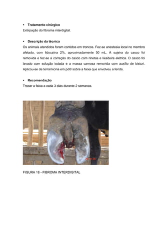 Tratamento cirúrgico
Extirpação do fibroma interdigital.
Descrição da técnica
Os animais atendidos foram contidos em troncos. Fez-se anestesia local no membro
afetado, com lidocaína 2%, aproximadamente 50 mL. A sujeira do casco foi
removida e fez-se a correção do casco com rinetas e lixadeira elétrica. O casco foi
lavado com solução iodada e a massa carnosa removida com auxílio de bisturi.
Aplicou-se de terramicina em pó® sobre a faixa que envolveu a ferida.
Recomendação
Trocar a faixa a cada 3 dias durante 2 semanas.
FIGURA 18 - FIBROMA INTERDIGITAL
 