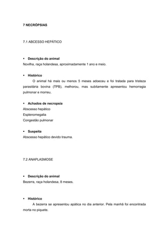 7 NECRÓPSIAS
7.1 ABCESSO HEPÁTICO
Descrição do animal
Novilha, raça holandesa, aproximadamente 1 ano e meio.
Histórico
O animal há mais ou menos 5 meses adoeceu e foi tratada para tristeza
parasitária bovina (TPB), melhorou, mas subitamente apresentou hemorragia
pulmonar e morreu.
Achados de necropsia
Abscesso hepático
Esplenomegalia
Congestão pulmonar
Suspeita
Abscesso hepático devido trauma.
7.2 ANAPLASMOSE
Descrição do animal
Bezerra, raça holandesa, 8 meses.
Histórico
A bezerra se apresentou apática no dia anterior. Pela manhã foi encontrada
morta no piquete.
 