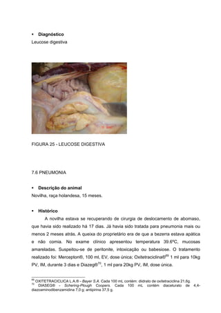 Diagnóstico
Leucose digestiva
FIGURA 25 - LEUCOSE DIGESTIVA
7.6 PNEUMONIA
Descrição do animal
Novilha, raça holandesa, 15 meses.
Histórico
A novilha estava se recuperando de cirurgia de deslocamento de abomaso,
que havia sido realizado há 17 dias. Já havia sido tratada para pneumonia mais ou
menos 2 meses atrás. A queixa do proprietário era de que a bezerra estava apática
e não comia. No exame clínico apresentou temperatura 39.6ºC, mucosas
amareladas. Suspeitou-se de peritonite, intoxicação ou babesiose. O tratamento
realizado foi: Mercepton®, 100 ml, EV, dose única; Oxitetraciclina®69
1 ml para 10kg
PV, IM, durante 3 dias e Diazeg®70
, 1 ml para 20kg PV, IM, dose única.
69
OXITETRACICLICA L.A.® - Bayer S.A. Cada 100 mL contém: diidrato de oxitetraciclina 21,6g.
70
DIASEG® - Schering-Plough Coopers. Cada 100 mL contém diaceturato de 4,4-
diazoaminodibenzamidina 7,0 g; antipirina 37,5 g.
 