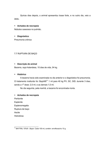 Quinze dias depois, o animal apresentou tosse forte, e no outro dia, veio a
óbito.
Achados de necropsia
Nódulos caseosos no pulmão.
Diagnóstico
Pneumonia crônica
7.7 RUPTURA DE BAÇO
Descrição do animal
Bezerra, raça holandesa, 10 dias de vida, 54 kg.
Histórico
A bezerra havia sido examinada no dia anterior e o diagnóstico foi pneumonia.
O tratamento instituído foi: Baytril®71
1 ml para 40 kg PV, SC, SID, durante 3 dias,
sendo a 1a
dose: 2,5 ml, e as demais 1,5 ml.
No dia seguinte, pela manhã, a bezerra foi encontrada morta.
Achados de necropsia
Peritonite
Esplenite
Esplenomegalia
Ruptura de baço
Ascite
Hidrotórax
71
BAYTRIL 10%® - Bayer. Cada 100 mL contém: enrofloxacino 10 g.
 