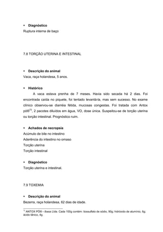 Diagnóstico
Ruptura interna de baço
7.8 TORÇÃO UTERINA E INTESTINAL
Descrição do animal
Vaca, raça holandesa, 5 anos.
Histórico
A vaca estava prenha de 7 meses. Havia sido secada há 2 dias. Foi
encontrada caída no piquete, foi tentado levantá-la, mas sem sucesso. No exame
clínico observou-se diarréia fétida, mucosas congestas. Foi tratada com Antox
pó®72
, 2 pacotes diluídos em água, VO, dose única. Suspeitou-se de torção uterina
ou torção intestinal. Prognóstico ruim.
Achados de necropsia
Acúmulo de bile no intestino
Aderência do intestino no omaso
Torção uterina
Torção intestinal
Diagnóstico
Torção uterina e intestinal.
7.9 TOXEMIA
Descrição do animal
Bezerra, raça holandesa, 62 dias de idade.
72
ANTOX PÓ® - Ibasa Ltda. Cada 100g contém: tiossulfato de sódio, 90g; hidróxido de alumínio, 6g;
ácido tânico, 4g.
 