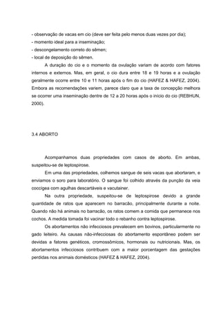 - observação de vacas em cio (deve ser feita pelo menos duas vezes por dia);
- momento ideal para a inseminação;
- descongelamento correto do sêmen;
- local de deposição do sêmen.
A duração do cio e o momento da ovulação variam de acordo com fatores
internos e externos. Mas, em geral, o cio dura entre 18 e 19 horas e a ovulação
geralmente ocorre entre 10 e 11 horas após o fim do cio (HAFEZ & HAFEZ, 2004).
Embora as recomendações variem, parece claro que a taxa de concepção melhora
se ocorrer uma inseminação dentre de 12 a 20 horas após o início do cio (REBHUN,
2000).
3.4 ABORTO
Acompanhamos duas propriedades com casos de aborto. Em ambas,
suspeitou-se de leptospirose.
Em uma das propriedades, colhemos sangue de seis vacas que abortaram, e
enviamos o soro para laboratório. O sangue foi colhido através da punção da veia
coccígea com agulhas descartáveis e vacutainer.
Na outra propriedade, suspeitou-se de leptospirose devido a grande
quantidade de ratos que aparecem no barracão, principalmente durante a noite.
Quando não há animais no barracão, os ratos comem a comida que permanece nos
cochos. A medida tomada foi vacinar todo o rebanho contra leptospirose.
Os abortamentos não infecciosos prevalecem em bovinos, particularmente no
gado leiteiro. As causas não-infecciosas do abortamento espontâneo podem ser
devidas a fatores genéticos, cromossômicos, hormonais ou nutricionais. Mas, os
abortamentos infecciosos contribuem com a maior porcentagem das gestações
perdidas nos animais domésticos (HAFEZ & HAFEZ, 2004).
 