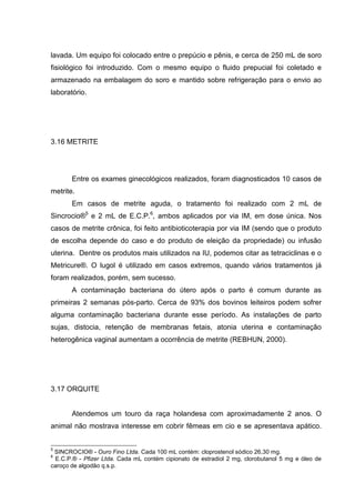 lavada. Um equipo foi colocado entre o prepúcio e pênis, e cerca de 250 mL de soro
fisiológico foi introduzido. Com o mesmo equipo o fluido prepucial foi coletado e
armazenado na embalagem do soro e mantido sobre refrigeração para o envio ao
laboratório.
3.16 METRITE
Entre os exames ginecológicos realizados, foram diagnosticados 10 casos de
metrite.
Em casos de metrite aguda, o tratamento foi realizado com 2 mL de
Sincrocio®5
e 2 mL de E.C.P.6
, ambos aplicados por via IM, em dose única. Nos
casos de metrite crônica, foi feito antibioticoterapia por via IM (sendo que o produto
de escolha depende do caso e do produto de eleição da propriedade) ou infusão
uterina. Dentre os produtos mais utilizados na IU, podemos citar as tetraciclinas e o
Metricure®. O lugol é utilizado em casos extremos, quando vários tratamentos já
foram realizados, porém, sem sucesso.
A contaminação bacteriana do útero após o parto é comum durante as
primeiras 2 semanas pós-parto. Cerca de 93% dos bovinos leiteiros podem sofrer
alguma contaminação bacteriana durante esse período. As instalações de parto
sujas, distocia, retenção de membranas fetais, atonia uterina e contaminação
heterogênica vaginal aumentam a ocorrência de metrite (REBHUN, 2000).
3.17 ORQUITE
Atendemos um touro da raça holandesa com aproximadamente 2 anos. O
animal não mostrava interesse em cobrir fêmeas em cio e se apresentava apático.
5
SINCROCIO® - Ouro Fino Ltda. Cada 100 mL contém: cloprostenol sódico 26,30 mg.
6
E.C.P.® - Pfizer Ltda. Cada mL contém cipionato de estradiol 2 mg, clorobutanol 5 mg e óleo de
caroço de algodão q.s.p.
 