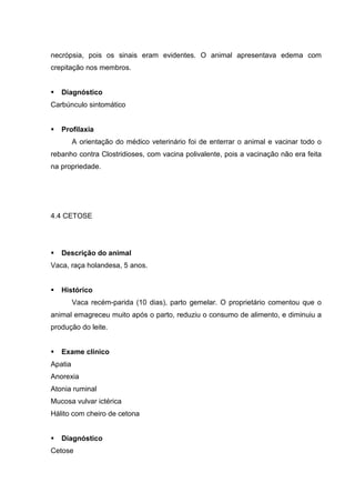 necrópsia, pois os sinais eram evidentes. O animal apresentava edema com
crepitação nos membros.
Diagnóstico
Carbúnculo sintomático
Profilaxia
A orientação do médico veterinário foi de enterrar o animal e vacinar todo o
rebanho contra Clostridioses, com vacina polivalente, pois a vacinação não era feita
na propriedade.
4.4 CETOSE
Descrição do animal
Vaca, raça holandesa, 5 anos.
Histórico
Vaca recém-parida (10 dias), parto gemelar. O proprietário comentou que o
animal emagreceu muito após o parto, reduziu o consumo de alimento, e diminuiu a
produção do leite.
Exame clínico
Apatia
Anorexia
Atonia ruminal
Mucosa vulvar ictérica
Hálito com cheiro de cetona
Diagnóstico
Cetose
 