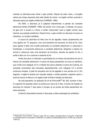 inserida no abomaso para retirar o gás contido. Depois de estar vazio, o cirurgião
coloca seu braço esquerdo pelo lado direito do rúmen, na região ventral, puxando o
abomaso para sua região anatômica (TURNER, 1999).
No DAD, o abomaso já é palpável lateralmente à parede da cavidade
abdominal direita (TURNER, 1999). Se estiver com muito gás, é retirado um pouco
do gás com a sonda e o dreno, e então “empurrado” para a região ventral, para
retomar sua posição anatômica. Dessa forma, o gás contido no abomaso vai para os
intestinos, e a torção é desfeita.
A sutura do abomaso foi feita com fio de algodão, fixado (duplamente) em
uma agulha em “S” pequena, com uma tampinha de borracha no final do fio. Com
essa agulha é feita uma incisão perfurante na cavidade abdominal e o abomaso é
transfixado, e novamente perfura-se a cavidade abdominal, atingindo o exterior do
animal e coloca-se mais uma tampinha de borracha, através da agulha no fio, e
então é feito um nó e corta-se o restante do fio.
Antes da sutura, é colocado a quantidade de um frasco de penicilina em pó no
interior da cavidade abdominal. A sutura da fossa paralombar se inicia no peritônio,
que é feito com categute 3.0 e o método de sutura utilizado é sutura de Cushing. As
camadas musculares são suturadas separadamente, com categute 3.0 e pontos
contínuos simples. A pele foi suturada com fio de algodão e com pontos em X. Em
seguida, a região é lavada com solução iodada, e então passado ungüento sobre o
local da sutura no flanco e na região onde foi feita a fixação do abomaso.
No pós-operatório, foi aplicado 25 ml de Pencivet®52
IM, SID, durante 4 dias.
O ungüento foi passado sobre os pontos por cerca de 5 dias. O ponto de fixação do
abomaso foi retirado 7 dias após a cirurgia, já os pontos da fossa paralombar em
duas semanas.
O leite foi descartado durante 3 dias após a última aplicação do antibiótico.
52
PENCIVET PLUS PPU® - Intervet. Cada 100 mL contém: benzilpenicilina G procaína 10.000.000
UI; benzilpenicilina G benzatina 10.000.000 UI; sulfato de diidroestreptomicina 10.500 mg; piroxicam
1.000 mg.
 