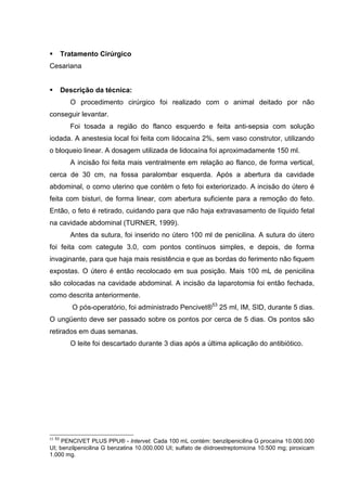 Tratamento Cirúrgico
Cesariana
Descrição da técnica:
O procedimento cirúrgico foi realizado com o animal deitado por não
conseguir levantar.
Foi tosada a região do flanco esquerdo e feita anti-sepsia com solução
iodada. A anestesia local foi feita com lidocaína 2%, sem vaso construtor, utilizando
o bloqueio linear. A dosagem utilizada de lidocaína foi aproximadamente 150 ml.
A incisão foi feita mais ventralmente em relação ao flanco, de forma vertical,
cerca de 30 cm, na fossa paralombar esquerda. Após a abertura da cavidade
abdominal, o corno uterino que contém o feto foi exteriorizado. A incisão do útero é
feita com bisturi, de forma linear, com abertura suficiente para a remoção do feto.
Então, o feto é retirado, cuidando para que não haja extravasamento de líquido fetal
na cavidade abdominal (TURNER, 1999).
Antes da sutura, foi inserido no útero 100 ml de penicilina. A sutura do útero
foi feita com categute 3.0, com pontos contínuos simples, e depois, de forma
invaginante, para que haja mais resistência e que as bordas do ferimento não fiquem
expostas. O útero é então recolocado em sua posição. Mais 100 mL de penicilina
são colocadas na cavidade abdominal. A incisão da laparotomia foi então fechada,
como descrita anteriormente.
O pós-operatório, foi administrado Pencivet®53
25 ml, IM, SID, durante 5 dias.
O ungüento deve ser passado sobre os pontos por cerca de 5 dias. Os pontos são
retirados em duas semanas.
O leite foi descartado durante 3 dias após a última aplicação do antibiótico.
53 53
PENCIVET PLUS PPU® - Intervet. Cada 100 mL contém: benzilpenicilina G procaína 10.000.000
UI; benzilpenicilina G benzatina 10.000.000 UI; sulfato de diidroestreptomicina 10.500 mg; piroxicam
1.000 mg.
 