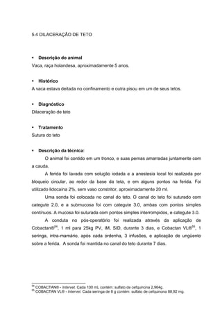 5.4 DILACERAÇÃO DE TETO
Descrição do animal
Vaca, raça holandesa, aproximadamente 5 anos.
Histórico
A vaca estava deitada no confinamento e outra pisou em um de seus tetos.
Diagnóstico
Dilaceração de teto
Tratamento
Sutura do teto
Descrição da técnica:
O animal foi contido em um tronco, e suas pernas amarradas juntamente com
a cauda.
A ferida foi lavada com solução iodada e a anestesia local foi realizada por
bloqueio circular, ao redor da base da teta, e em alguns pontos na ferida. Foi
utilizado lidocaína 2%, sem vaso constritor, aproximadamente 20 ml.
Uma sonda foi colocada no canal do teto. O canal do teto foi suturado com
categute 2.0, e a submucosa foi com categute 3.0, ambas com pontos simples
contínuos. A mucosa foi suturada com pontos simples interrompidos, e categute 3.0.
A conduta no pós-operatório foi realizada através da aplicação de
Cobactan®54
, 1 ml para 25kg PV, IM, SID, durante 3 dias, e Cobactan VL®55
, 1
seringa, intra-mamário, após cada ordenha, 3 infusões, e aplicação de ungüento
sobre a ferida. A sonda foi mantida no canal do teto durante 7 dias.
54
COBACTAN® - Intervet. Cada 100 mL contém: sulfato de cefquinona 2,964g.
55
COBACTAN VL® - Intervet. Cada seringa de 8 g contém: sulfato de cefquinona 88,92 mg.
 
