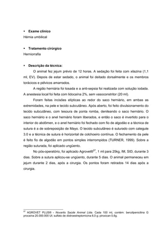 Exame clínico
Hérnia umbilical
Tratamento cirúrgico
Herniorrafia
Descrição da técnica:
O animal fez jejum prévio de 12 horas. A sedação foi feita com xilazina (1,1
ml, EV). Depois de estar sedado, o animal foi deitado dorsalmente e os membros
torácicos e pélvicos amarrados.
A região herniária foi tosada e a anti-sepsia foi realizada com solução iodada.
A anestesia local foi feita com lidocaína 2%, sem vasoconstritor (20 ml).
Foram feitas incisões elípticas ao redor do saco herniário, em ambas as
extremidades, na pele e tecido subcutâneo. Após aberto, foi feito divulsionamento do
tecido subcutâneo, com tesoura de ponta romba, denileando o saco herniário. O
saco herniário e o anel herniário foram liberados, e então o saco é invertido para o
interior do abdômen, e o anel herniário foi fechado com fio de algodão e a técnica de
sutura é a de sobreposição de Mayo. O tecido subcutâneo é suturado com categute
3.0 e a técnica de sutura é horizontal de colchoeiro contínua. O fechamento da pele
é feito fio de algodão em pontos simples interrompidos (TURNER, 1999). Sobre a
região suturada, foi aplicado ungüento.
No pós-operatório, foi aplicado Agrovet®57
, 1 ml para 25kg, IM, SID, durante 3
dias. Sobre a sutura aplicou-se ungüento, durante 5 dias. O animal permaneceu em
jejum durante 2 dias, após a cirurgia. Os pontos foram retirados 14 dias após a
cirurgia.
57
AGROVET PLUS® - Novartis Saúde Animal Ltda. Cada 100 mL contém: benzilpenicilina G
procaína 20.000.000 UI; sulfato de diidroestreptomicina 8,0 g; piroxican 0,6g.
 