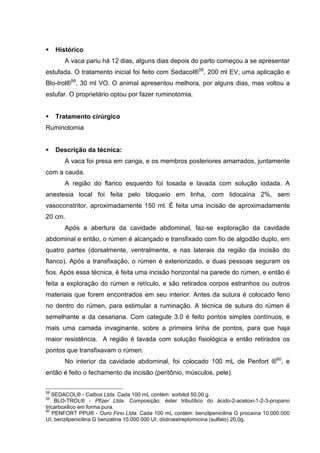 Histórico
A vaca pariu há 12 dias, alguns dias depois do parto começou a se apresentar
estufada. O tratamento inicial foi feito com Sedacol®58
, 200 ml EV, uma aplicação e
Blo-trol®59
, 30 ml VO. O animal apresentou melhora, por alguns dias, mas voltou a
estufar. O proprietário optou por fazer ruminotomia.
Tratamento cirúrgico
Ruminotomia
Descrição da técnica:
A vaca foi presa em canga, e os membros posteriores amarrados, juntamente
com a cauda.
A região do flanco esquerdo foi tosada e lavada com solução iodada. A
anestesia local foi feita pelo bloqueio em linha, com lidocaína 2%, sem
vasoconstritor, aproximadamente 150 ml. É feita uma incisão de aproximadamente
20 cm.
Após a abertura da cavidade abdominal, faz-se exploração da cavidade
abdominal e então, o rúmen é alcançado e transfixado com fio de algodão duplo, em
quatro partes (dorsalmente, ventralmente, e nas laterais da região da incisão do
flanco). Após a transfixação, o rúmen é exteriorizado, e duas pessoas seguram os
fios. Após essa técnica, é feita uma incisão horizontal na parede do rúmen, e então é
feita a exploração do rúmen e retículo, e são retirados corpos estranhos ou outros
materiais que forem encontrados em seu interior. Antes da sutura é colocado feno
no dentro do rúmen, para estimular a ruminação. A técnica de sutura do rúmen é
semelhante a da cesariana. Com categute 3.0 é feito pontos simples contínuos, e
mais uma camada invaginante, sobre a primeira linha de pontos, para que haja
maior resistência. A região é lavada com solução fisiológica e então retirados os
pontos que transfixavam o rúmen.
No interior da cavidade abdominal, foi colocado 100 mL de Penfort ®60
, e
então é feito o fechamento da incisão (peritônio, músculos, pele).
58
SEDACOL® - Calbos Ltda. Cada 100 mL contém: sorbitol 50,00 g.
59
BLO-TROL® - Pfizer Ltda. Composição: éster tributílico do ácido-2-acetoxi-1-2-3-propano
tricarboxilico em forma pura.
60
PENFORT PPU® - Ouro Fino Ltda. Cada 100 mL contém: benzilpenicilina G procaína 10.000.000
UI; benzilpenicilina G benzatina 10.000.000 UI; diidroestreptomicina (sulfato) 20,0g.
 