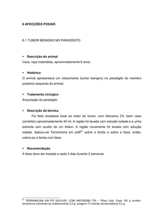6 AFECÇÕES PODAIS
6.1 TUMOR BENIGNO NO PARADÍGITO
Descrição do animal
Vaca, raça holandesa, aproximadamente 6 anos.
Histórico
O animal apresentava um crescimento (tumor benigno) no paradigito do membro
posterior esquerdo do animal.
Tratamento cirúrgico
Amputação do paradigito
Descrição da técnica
Foi feita anestesia local ao redor do tumor, com lidocaína 2% (sem vaso
constritor) aproximadamente 40 ml. A região foi lavada com solução iodada e a unha
extraída com auxílio de um bisturi. A região novamente foi lavada com solução
iodada. Aplicou-se Terramicina em pó®61
sobre a ferida e sobre a faixa, então,
cobriu-se a ferida com faixa.
Recomendação
A faixa deve ser trocada a cada 3 dias durante 2 semanas.
61
TERRAMICINA EM PÓ SOLÚVEL COM ANTIGERM 77® – Pfizer Ltda. Cada 100 g contém:
terramicina (cloridrato de oxitetraciclina) 5,5 g; antigerm 77 (cloreto de benzetônio) 5,5 g.
 
